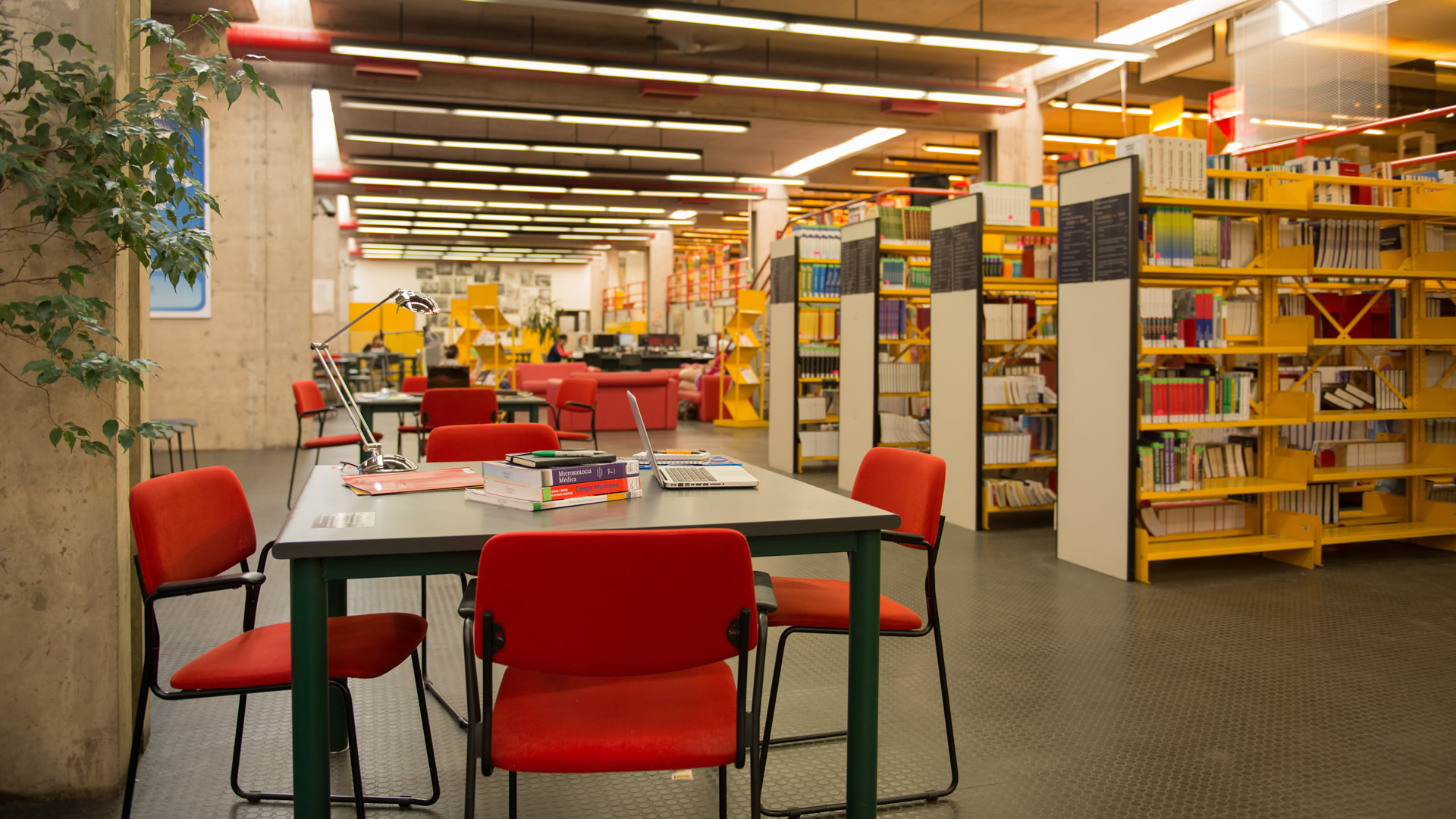 Campus Zona Sul - biblioteca-1