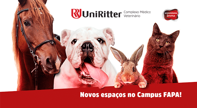 Ilustração